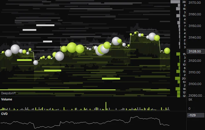 DeepDOM in the STRATUH theme: the liquidity heatmap, trade bubbles and the book's depth